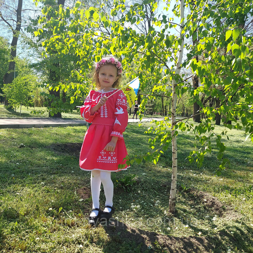 Плаття вишиванка рожеве з ластівками 104-158 Кривий Ріг - фото 3