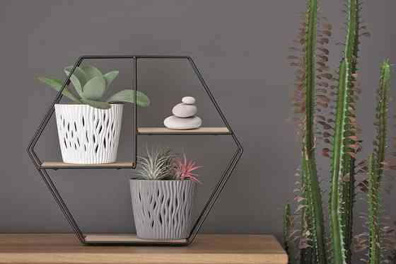 Горщик з кашпо для рослин 2в1 PROSPERPLAST SANDY ROUND 1.7 л сірий Київ