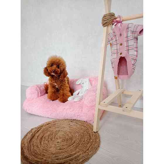 Хутряний диван лежак для собак і кішок спальне місце для тварин знімни Incor рожевий 10079 Київ