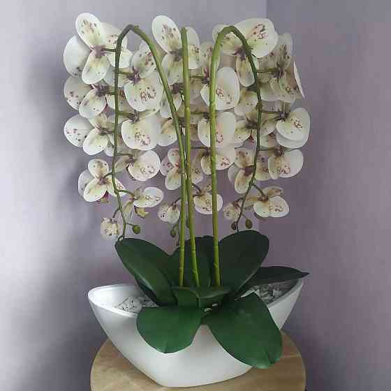 Штучна латексна орхідея VIP в керамічному кашпо на три гілки біла з бордовою крапкою. Дніпро