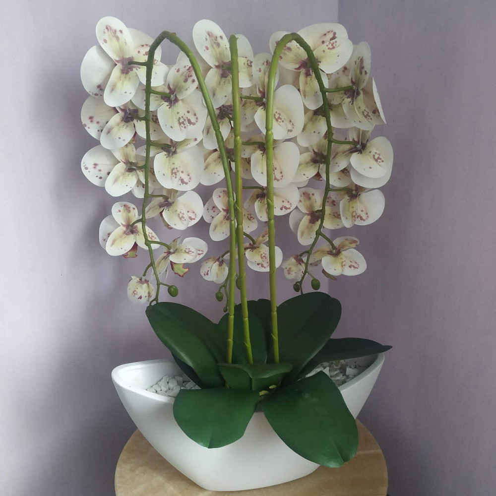 Штучна латексна орхідея VIP в керамічному кашпо на три гілки біла з бордовою крапкою. Дніпро - фото 6