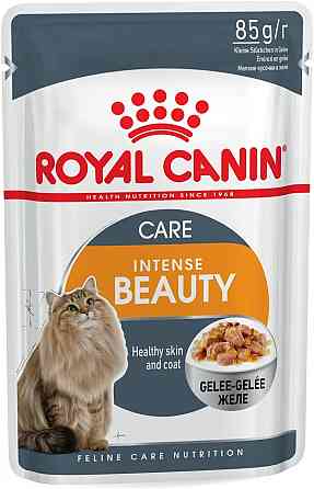 Royal Canin Intense Beauty Jelly (Роял Канін Інтенс Б'юті) вологий корм для кішок для шкіри та шерсті від 12 міс. 0.085 кг. х 12 шт. Запоріжжя