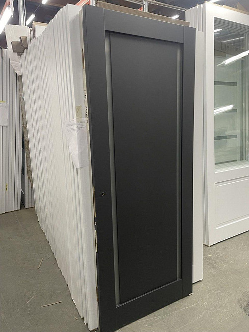 Двері екокошпон, Полотно, серія Millenium (ML-62) Темно сірий Київ - фото 3