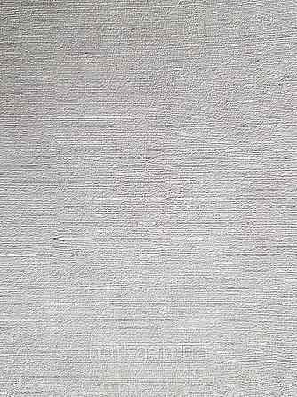 Шпалери метрові вінілові на флізелін AS creation Premium під штукатурку світло сірі з білим Київ