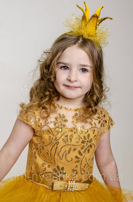 Обруч ободок корона золотой рыбки Кривой Рог - изображение 1