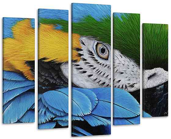 Модульна картина Папуга Art-242_5 ( 80х118см ) Київ