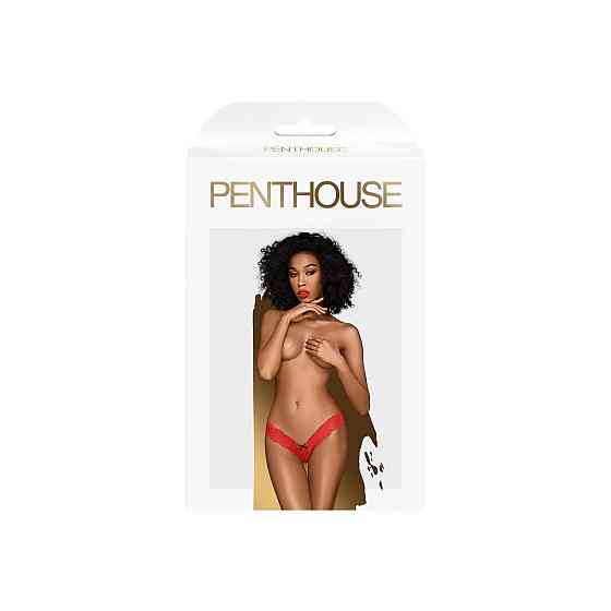 Трусики-тонг Penthouse Dangerous Darling L/XL Red, мереживо, висока посадка, виріз спереду, бантик Sex Aura Київ
