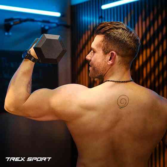 Гантеля шестигранна прогумована TX-100RD Trex Sport 10кг Киев