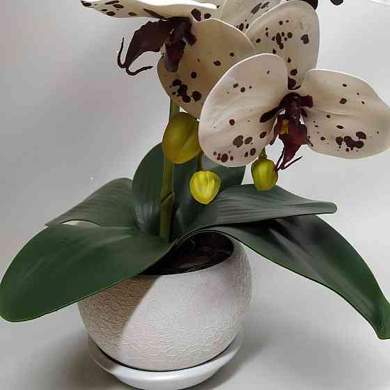 Штучна латексна орхідея VIP у білому керамічному кашпо на одну гілку біла Дніпро