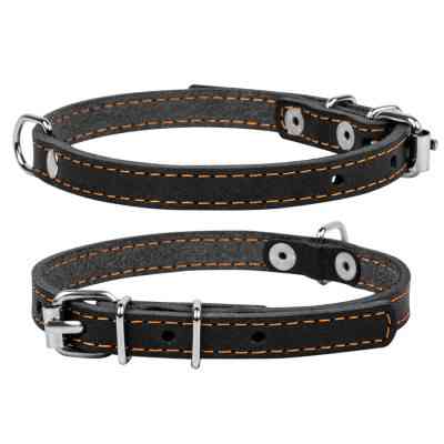 Нашийник для тварин Collar одинарний Ш 20 мм Д 32-40 см чорний (01331) Вінниця