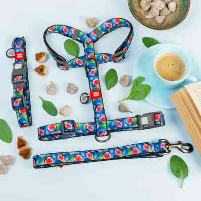 Поводок для собак WAUDOG Nylon "Инжир" L-XXL Ш 25 мм Д 122 см (342-4053) Винница