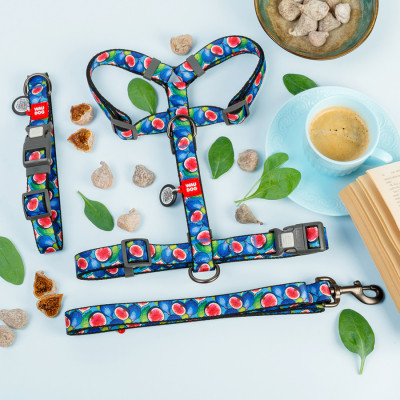 Повідець для собак WAUDOG Nylon "Інжир" L-XXL Ш 25 мм Д 122 см (342-4053) Вінниця - фото 2