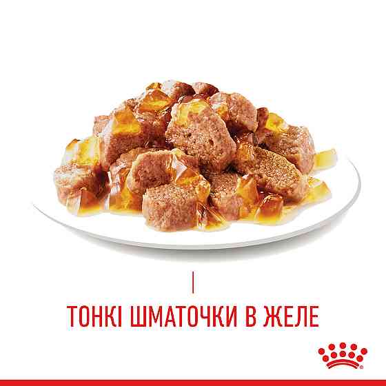 Вологий корм для дорослих котів ROYAL CANIN HAIR&SKIN CARE IN JELLY 0.085 кг Київ