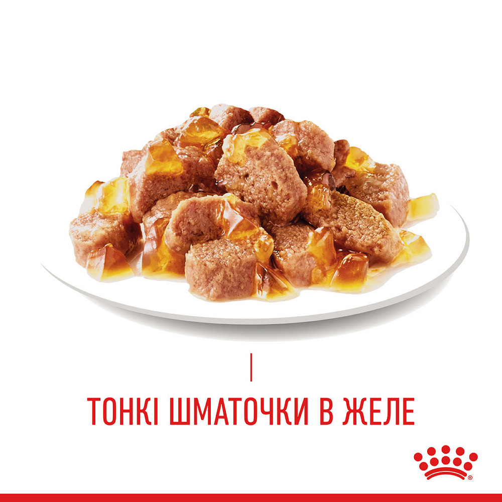Вологий корм для дорослих котів ROYAL CANIN HAIR&SKIN CARE IN JELLY 0.085 кг Київ - фото 6
