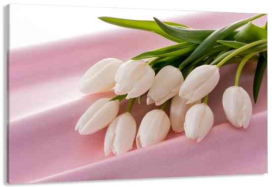 Картина полотно у вітальню / спальню  Білі Тюльпани   MLP_376 ( 60х30см ) 40x80 см Київ