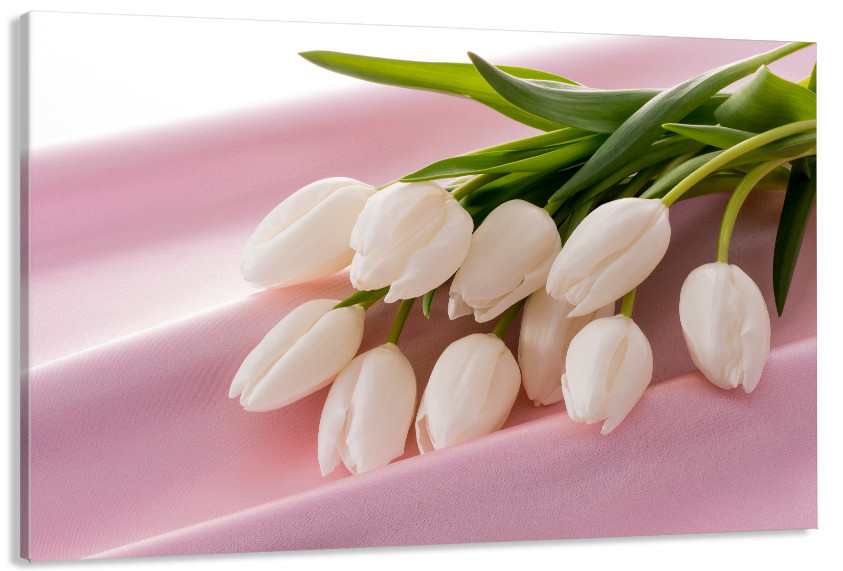 Картина полотно у вітальню / спальню  Білі Тюльпани   MLP_376 ( 60х30см ) 40x80 см Київ - фото 1