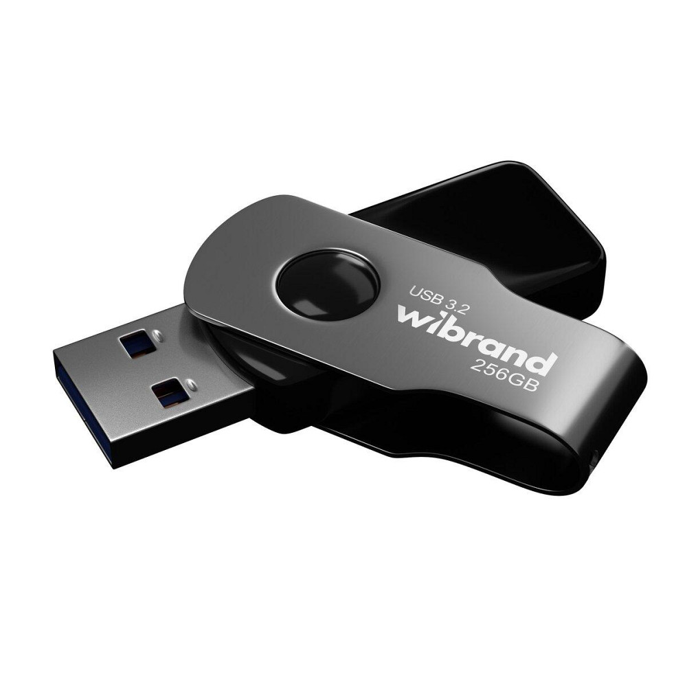 Флешка flash Wibrand USB 3.2 Gen1 Lizard 256GB Black WI3.2 / LI256P9B Одеса - фото 2