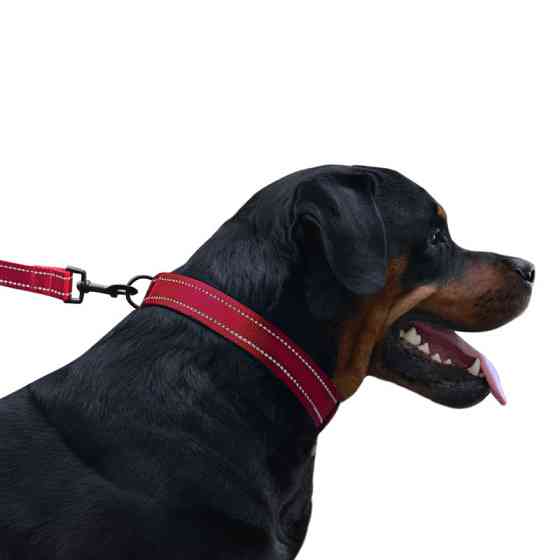 Нашийник для собак нейлоновий світловідбивний BronzeDog Active з пластиковою пряжею (фастекс) червоний XL Одеса