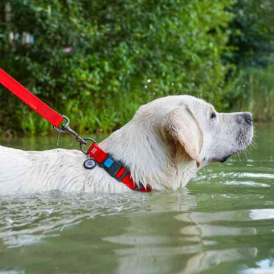 Ошейник для собак водостойкий WAUDOG Waterproof c QR паспортом, пластикова пряжка-фастекс, Ш 25 мм, Дов 38-58 см, червоний Київ