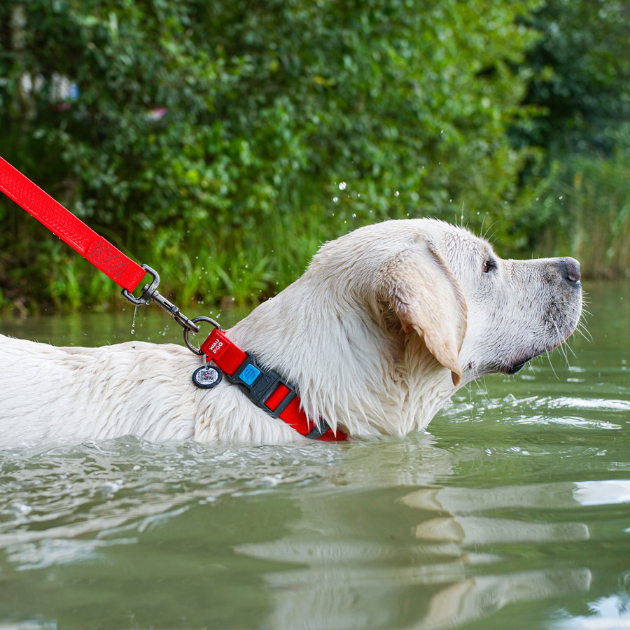 Ошейник для собак водостойкий WAUDOG Waterproof c QR паспортом, пластикова пряжка-фастекс, Ш 25 мм, Дов 38-58 см, червоний Київ - фото 5