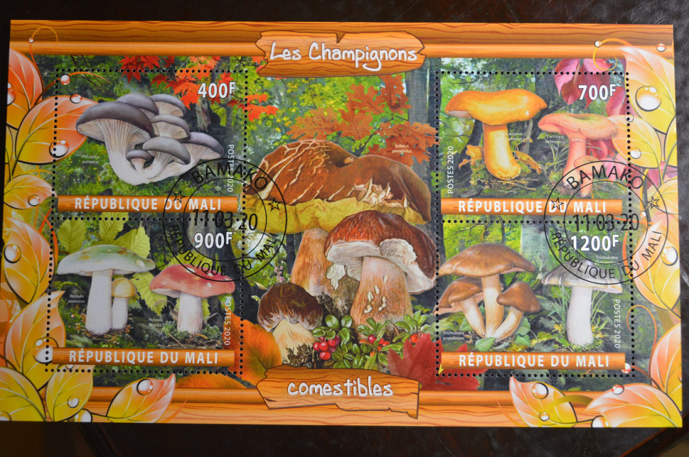 Малі. Марки. Фауна. Блок. 2019 рік (У-2) Полтава - фото 1