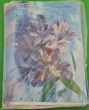 Пакет с петлевой ручкой ср п ламинир.