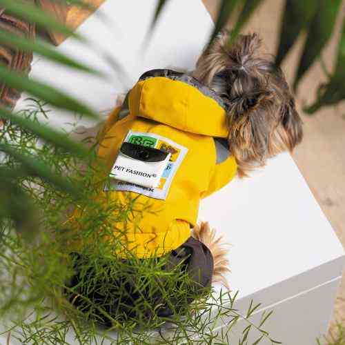 Дождевик Pet Fashion «Elsa» для девочек, размер XS2, желтый (лимитированная серия) Винница