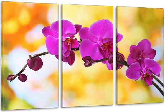 Модульна картина Квіти Орхідея Аrt-136_3А Київ