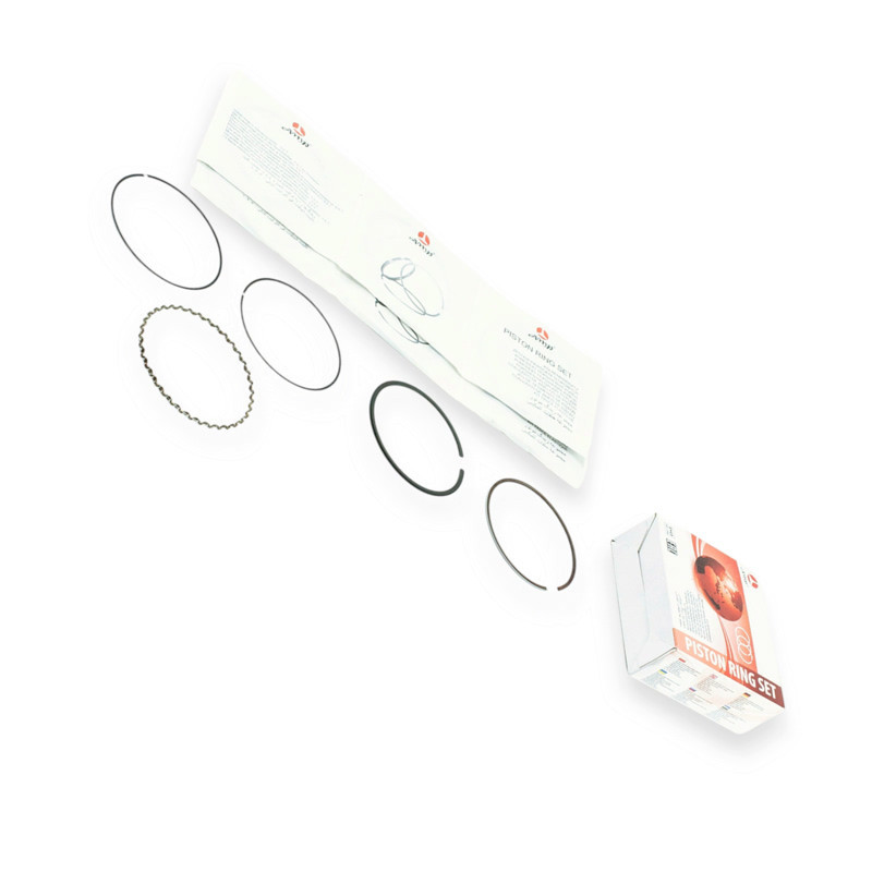 Кільця волга 95.5 євро-3 (вузькі) набірні amp Мукачево - фото 1