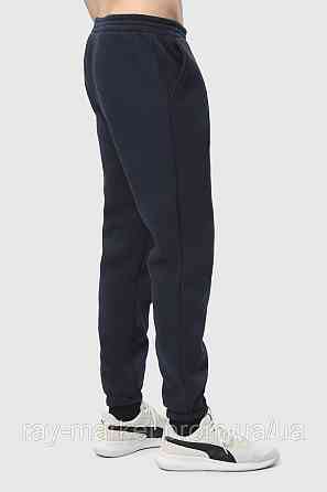 Костюм худи и штаны Ray Basic мужской утепленный темно-синий (U0801M-Navy Blue) M Киев