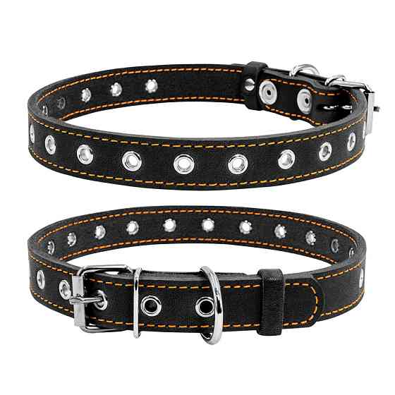 Нашийник "CoLLaR" безрозмірний (ширина 20мм, довжина 50см) чорний Коломыя