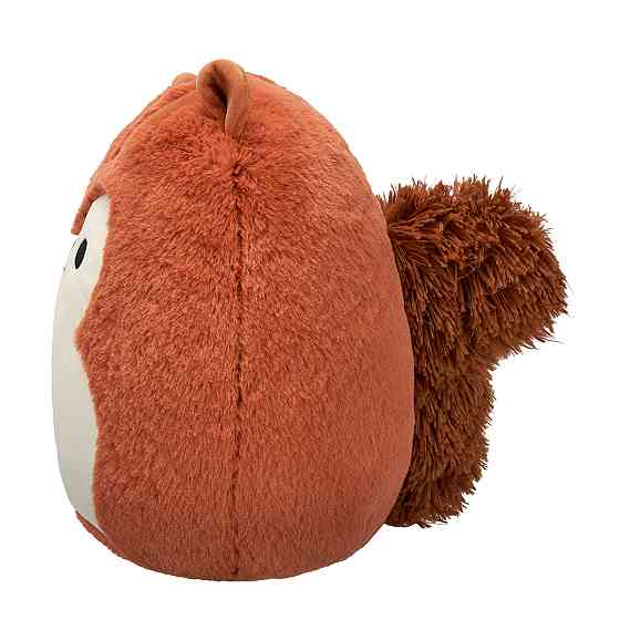 М'яка іграшка Squishmallows - Білка Сойєр (30 cm) Дніпро