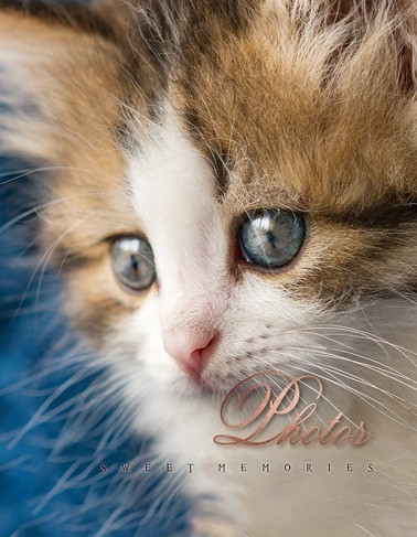 Фотоальбом UFO 10x15x200 PP-46200 Cat photo (7061949) Київ - фото 1