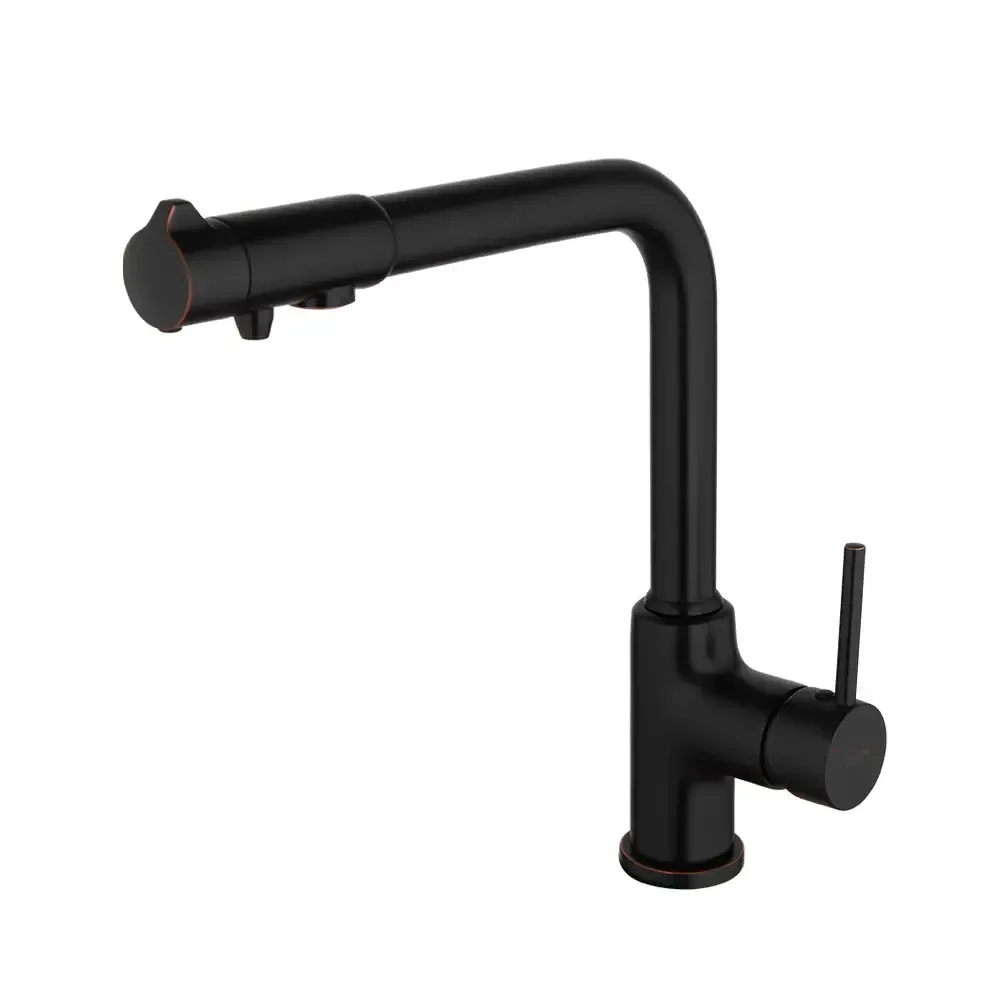 Смеситель для кухни GAPPO G4390-10 с подключением фильтра питьевой воды, черный Киев - изображение 1