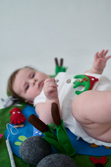 Навчальна гра WooolyWool “Фетрова рибалка” Київ - фото 2