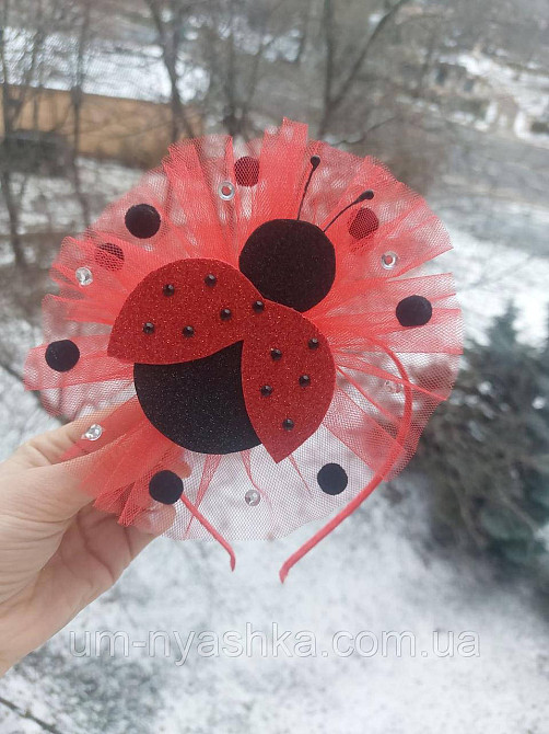 Обруч Божья Коровка Кривой Рог - изображение 2