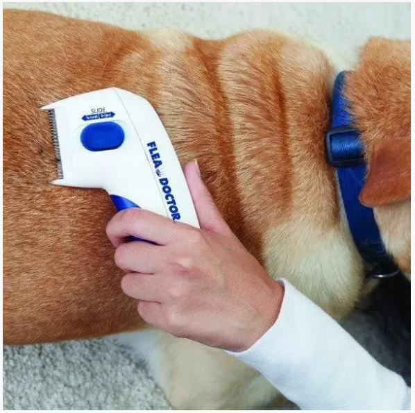 Электрическая  расческа – электрическая машинка для стрижки Flea Doctor 5259 Одесса - изображение 2