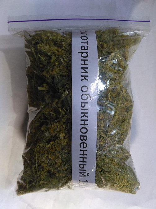 Золотарнік звичайний (Золотарник обыкновенный) 100г master sem Киев - изображение 2