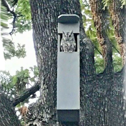 Домик для совы 