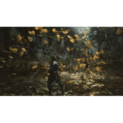 Игра Sony Black Myth: Wukong, BD диск (5056635611864) Винница - изображение 7