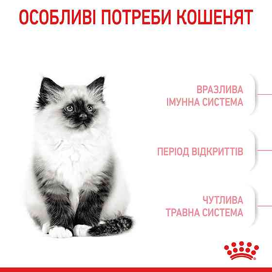Royal Canin Kitten (Рояв Канін Кіттен) сухий корм для котят під час другої фази росту 10 кілограмів. Запоріжжя