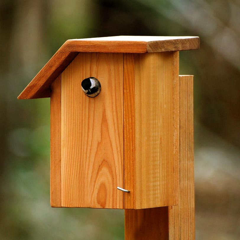 Шпаківня садова "Глухар" сієна Миколаїв - фото 1