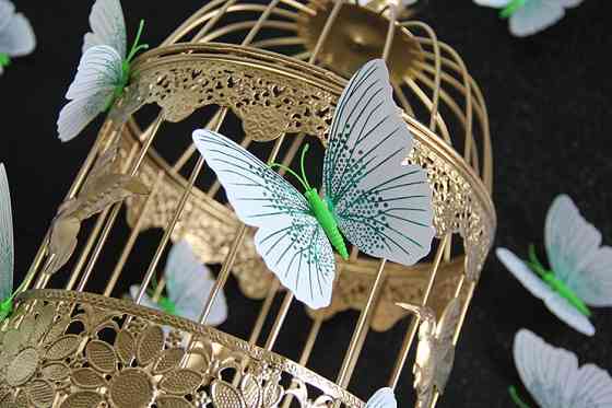 Набор декоративных бабочек с блестками 12 штук бело-зеленый Киев