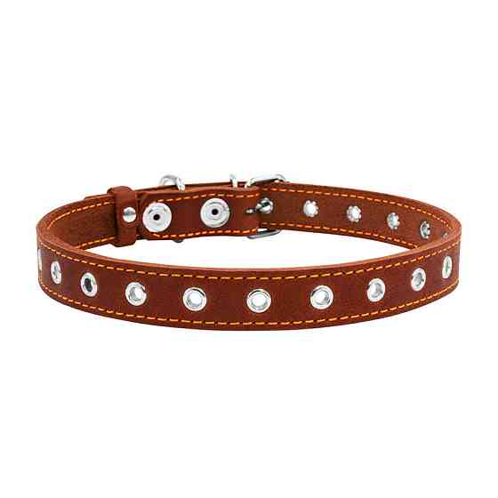 Нашийник "CoLLaR" безрозмірний (ширина 20мм, довжина 50см) коричневий Київ