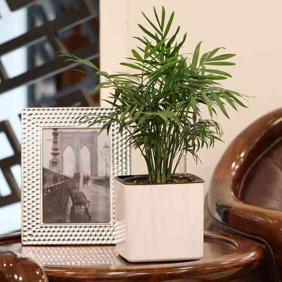 Горщик для квітів з системою автополиву L 17,2 х 17,2 х 16,2 см Київ