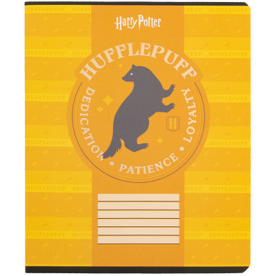 Зошит Kite Harry Potter, 18 аркушів, клітинка (HP25-236) Вінниця - фото 4