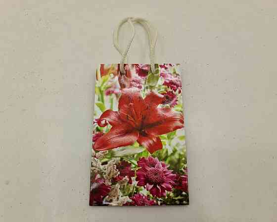 Пакет паперовий подарунковий малий 11/18/5 (арт М088) (12 шт.) Харків