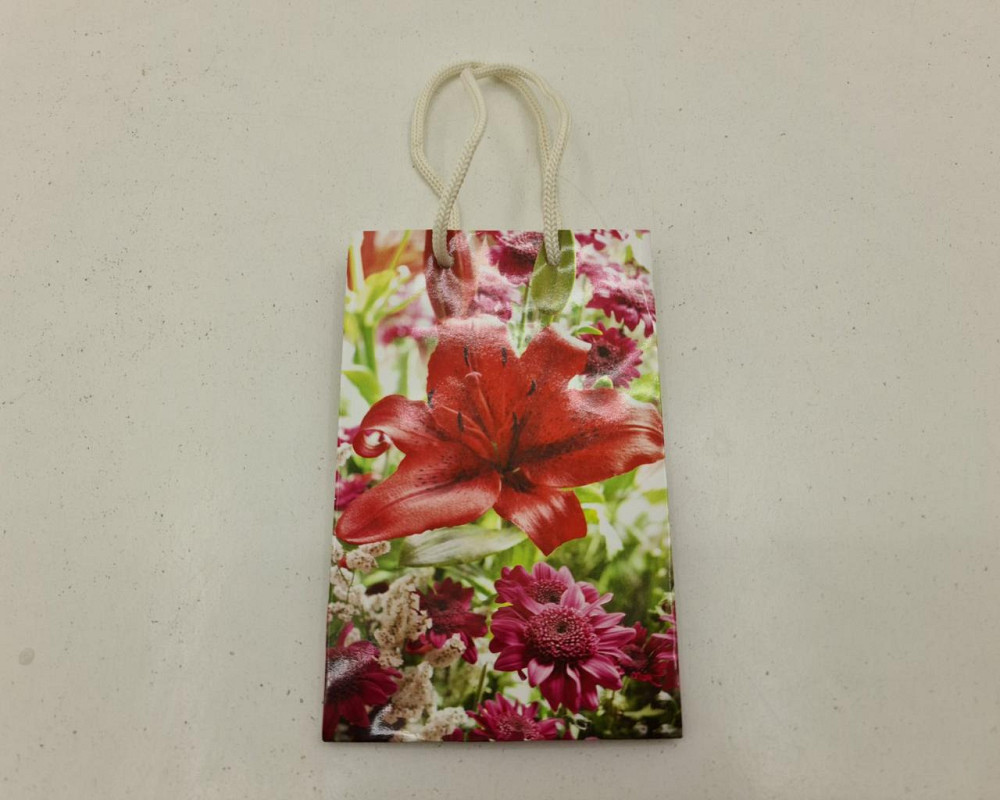 Пакет паперовий подарунковий малий 11/18/5 (арт М088) (12 шт.) Харків - фото 2