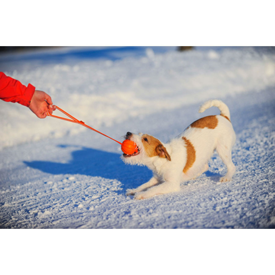 М'ячик ЛАЙКЕР5 Лайн, діаметр 5 см Вінниця - фото 4