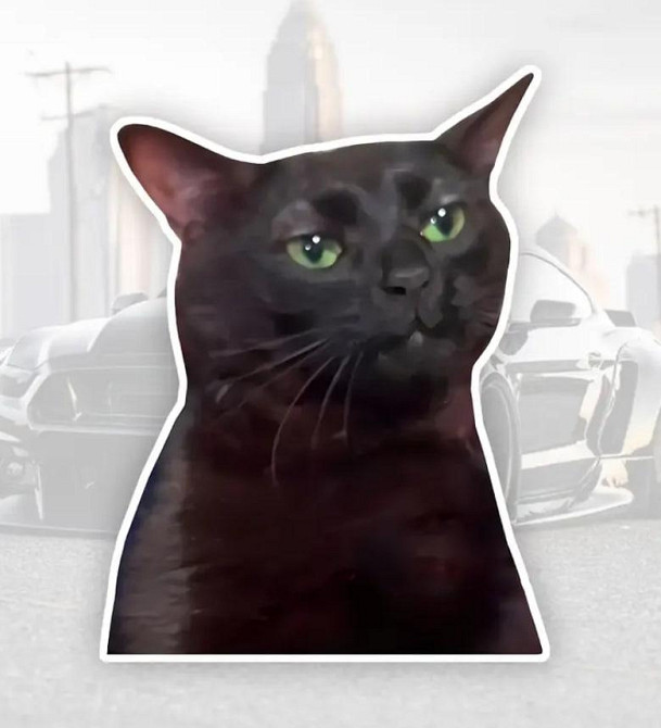 Набор водонепроницаемых наклеек с черным котом (2 шт.) – виниловые стикеры для авто, ноутбука, стек. Киев - изображение 1